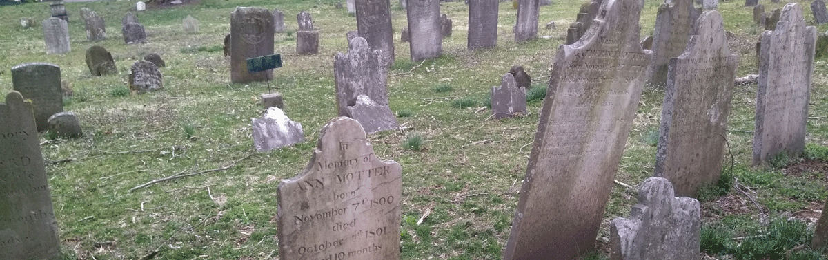 old forest in headstone