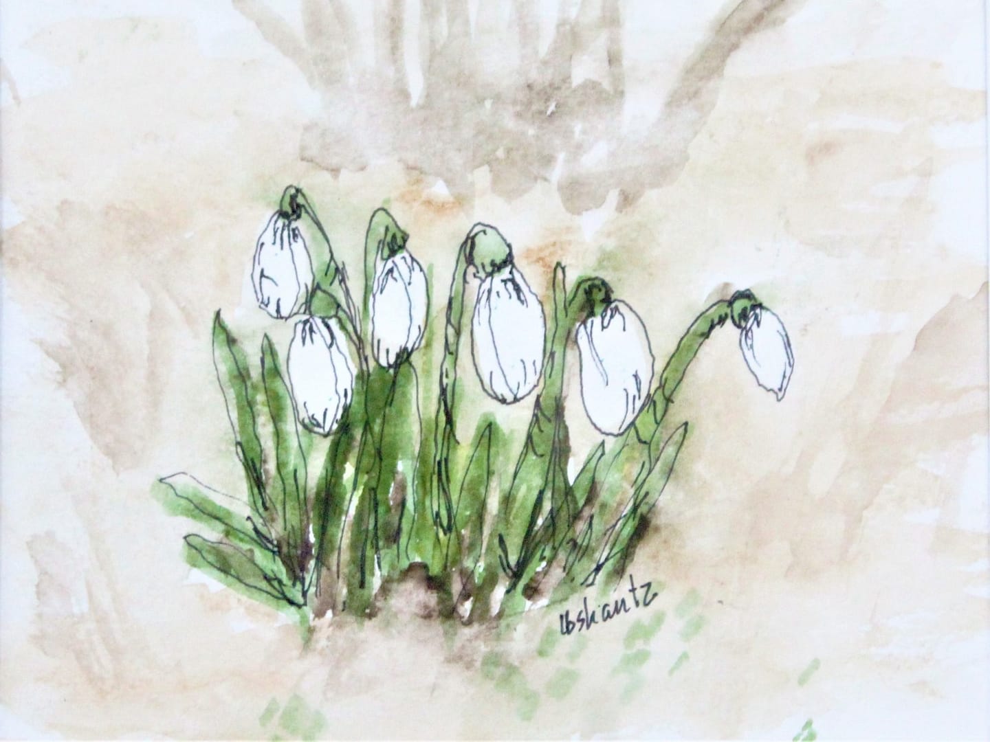 Celebrating the Freedom of Art: LornaBeth Shantz’s Story