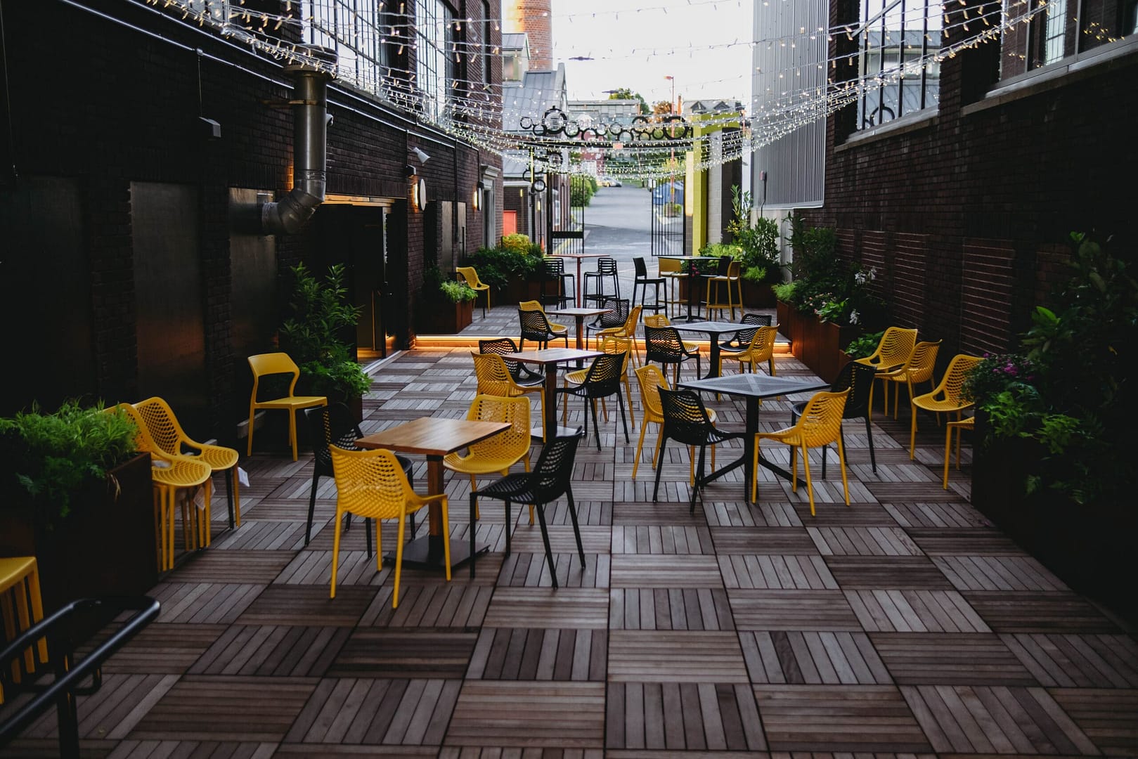 Thorn Alley (Brand New!)