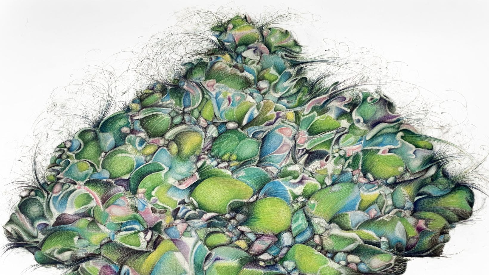 Cynthia Hron , Terrain