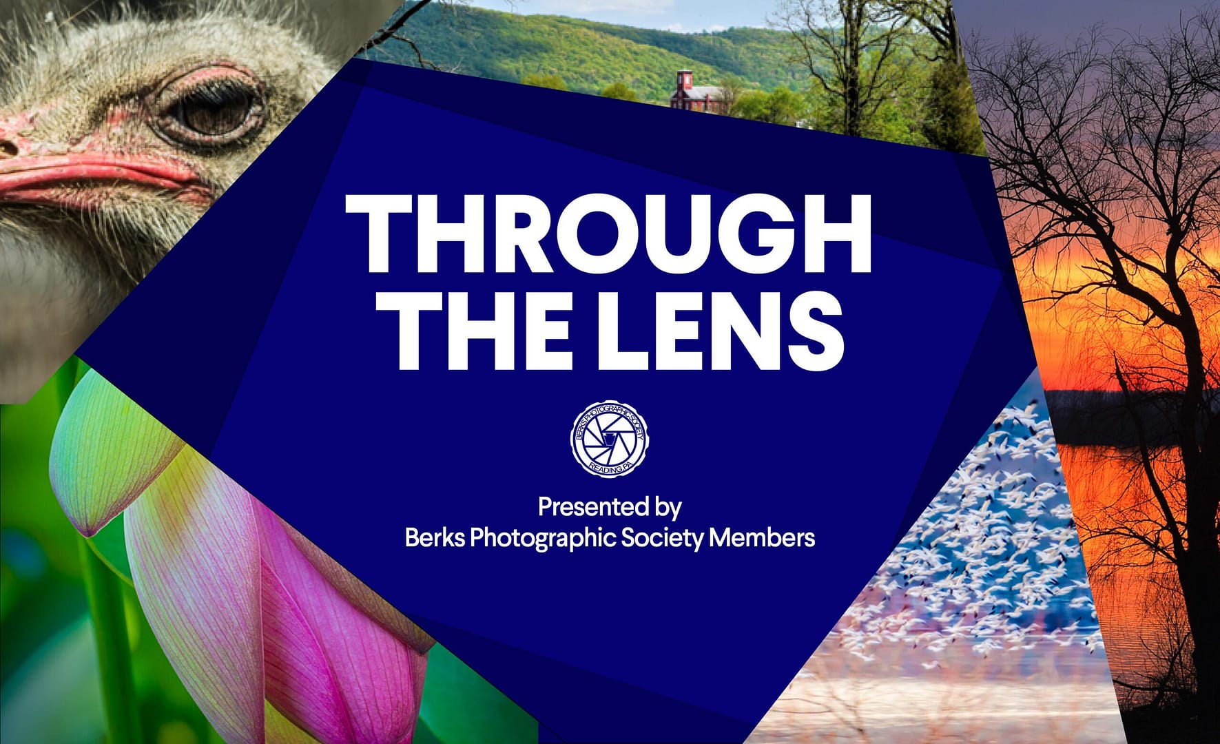 Through the Lens Berks Photographic Society exhibition header