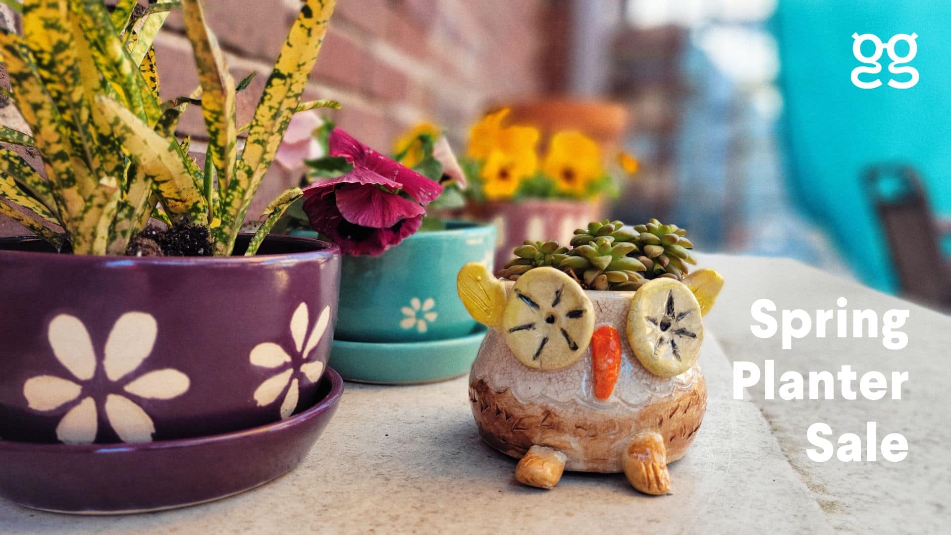 Spring Planter Sale