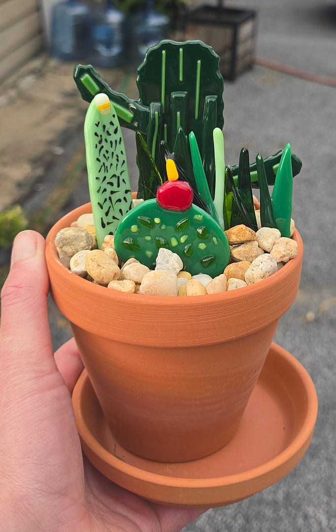 Fused Potted Cactus