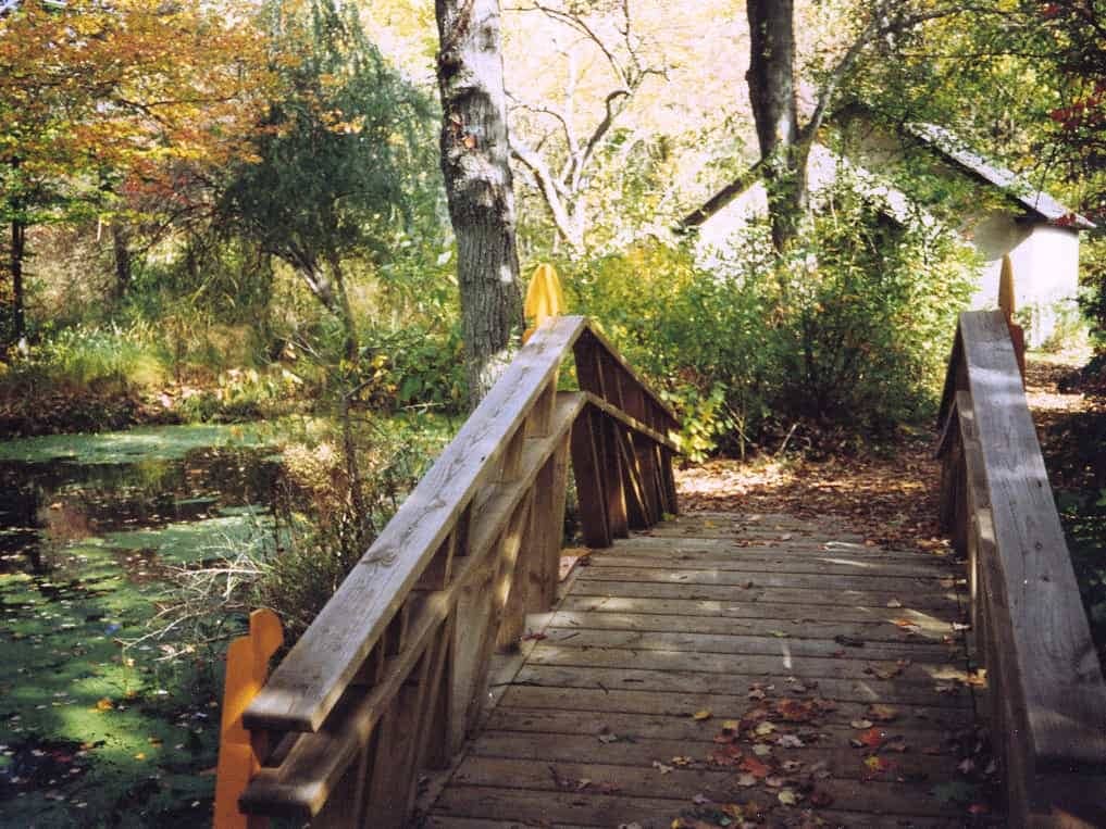 The Land Trust preserved bog gardens are a model of Conservation and Sustainability