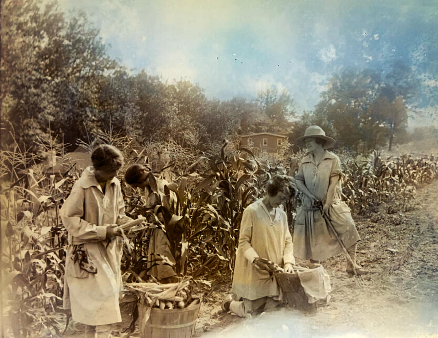 Throwback Thursday: P.A.F.A. Period Glass Plate Photo Negatives