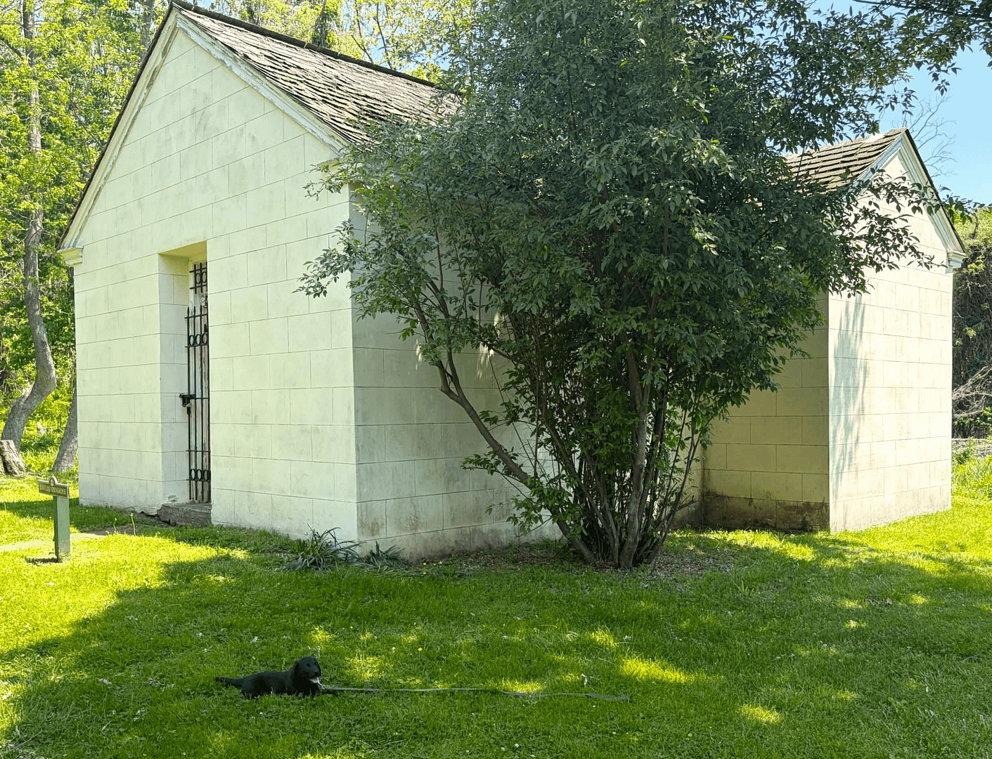 Jenny Lind Spring in the modern day (photo taken 5/18/2026)
