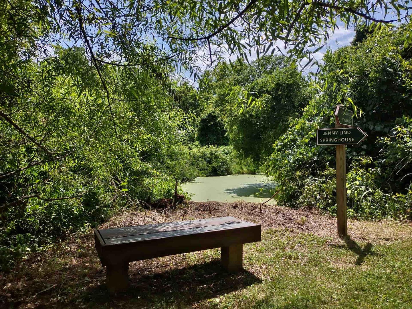 The Land Trust preserved bog gardens are a model of Conservation and Sustainability
