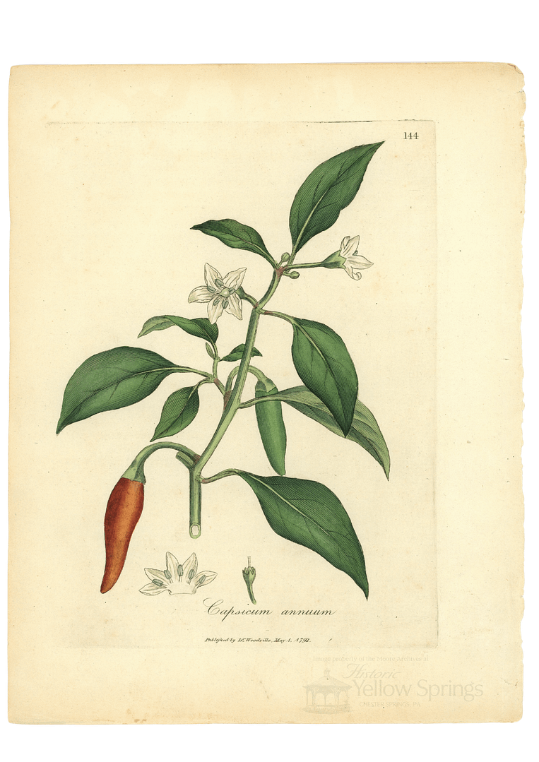 Stories from the Springs