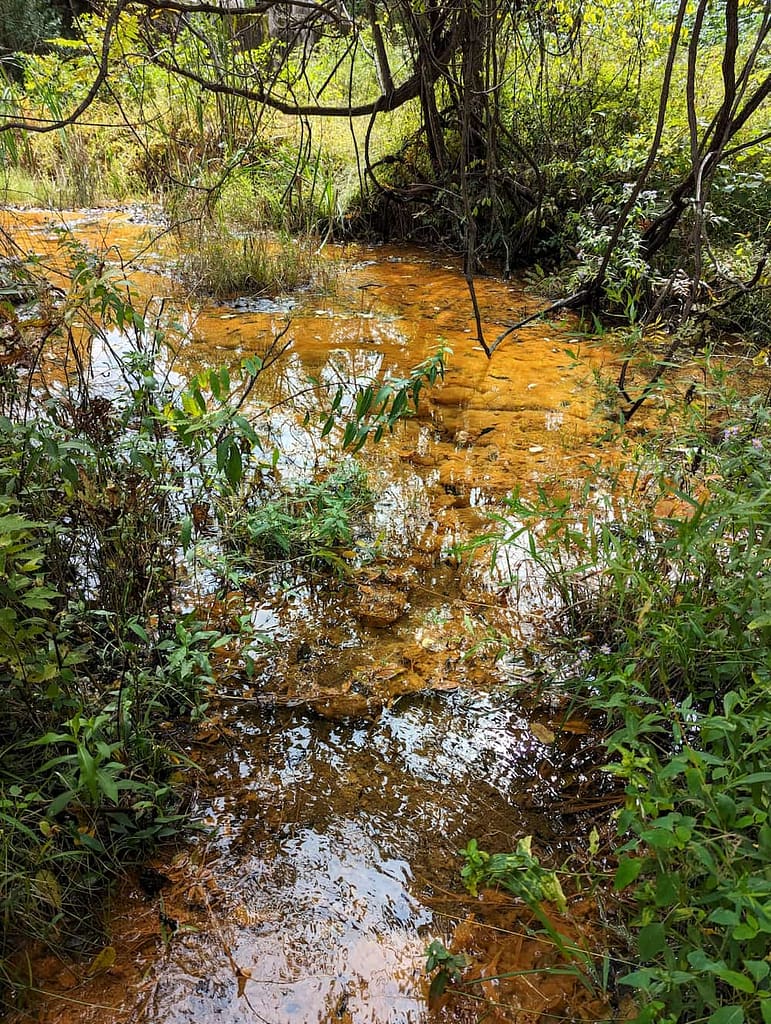 The water leaving the preserved historic yellow springs gazebo and gardens.