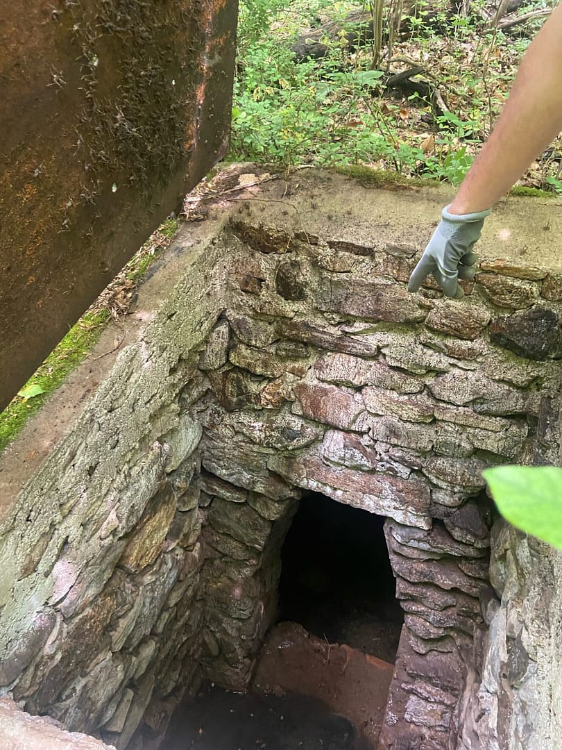 Throwback Thursday: Rediscovered Springs
