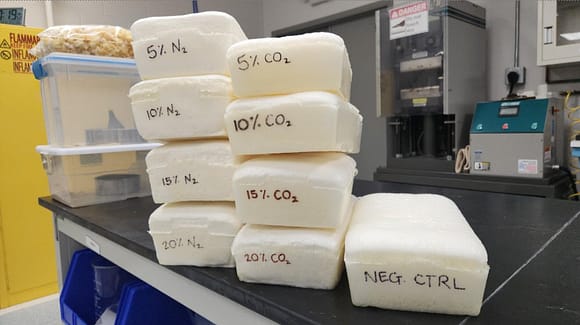 Screenshot 2025-12-25 032242