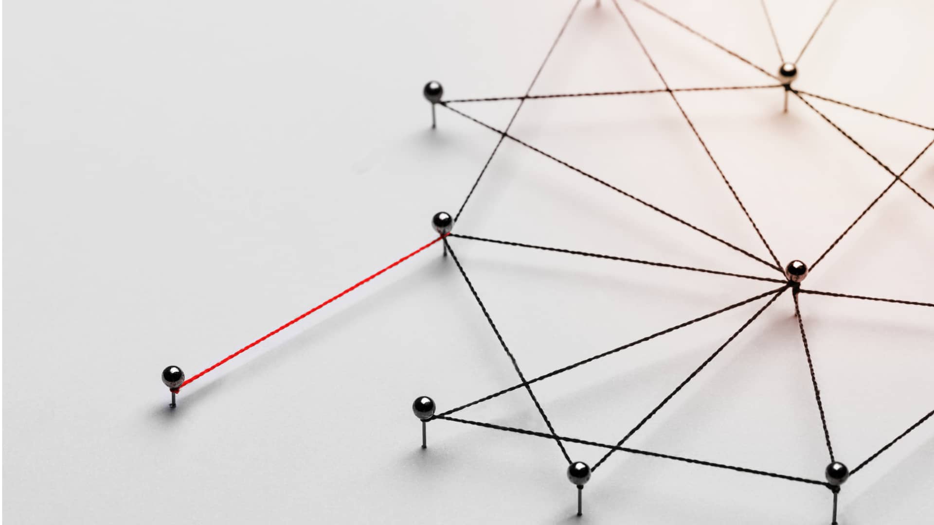 Ariba Network Customer Management Standardizing Business Practices