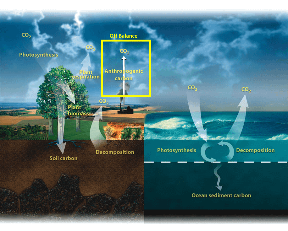 A screenshot of a computer Description automatically generated with low confidence